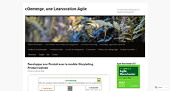 Desktop Screenshot of coemerge.com